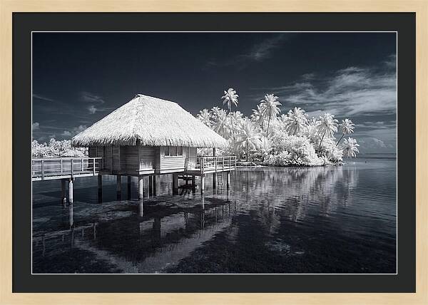 Serene Dusk Overwater Retreat