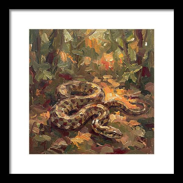 Serene Forest Encounter
