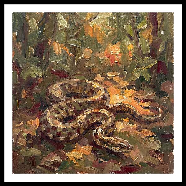 Serene Forest Encounter