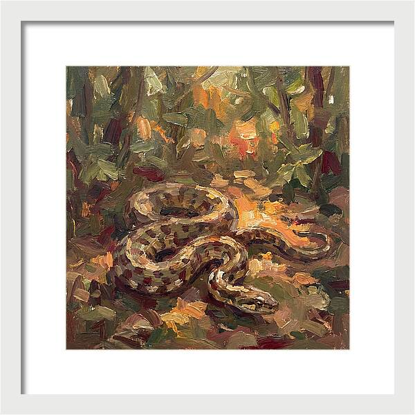 Serene Forest Encounter