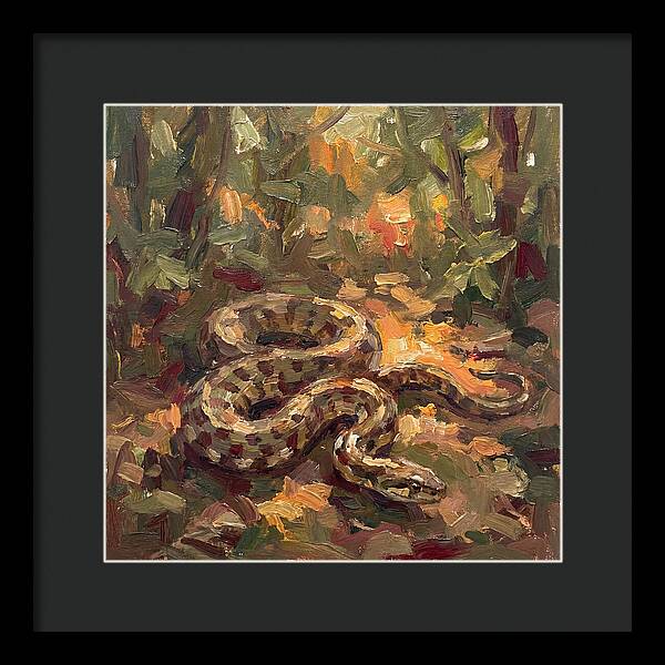 Serene Forest Encounter
