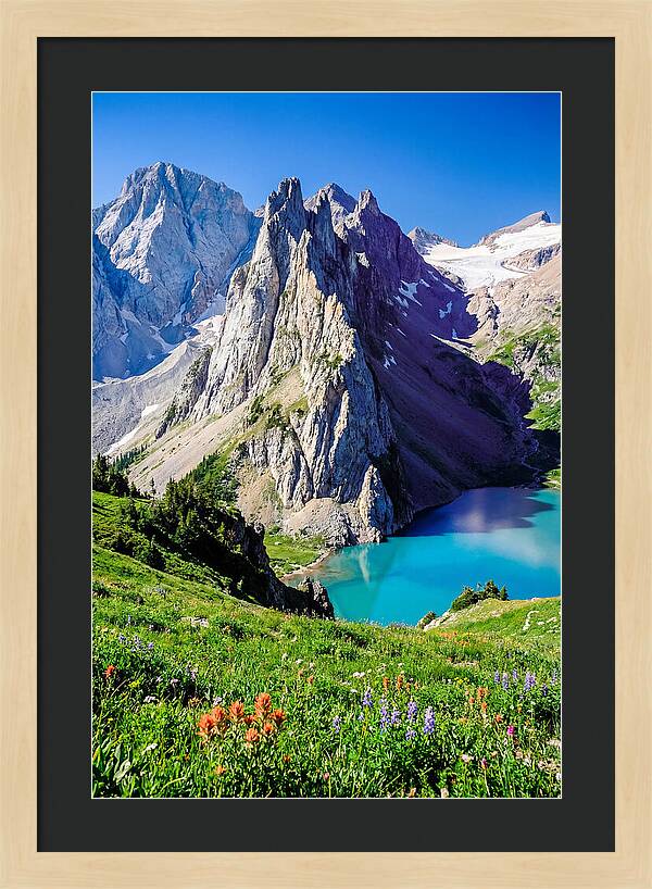 Serene Garden Landscape In Glacier National Park