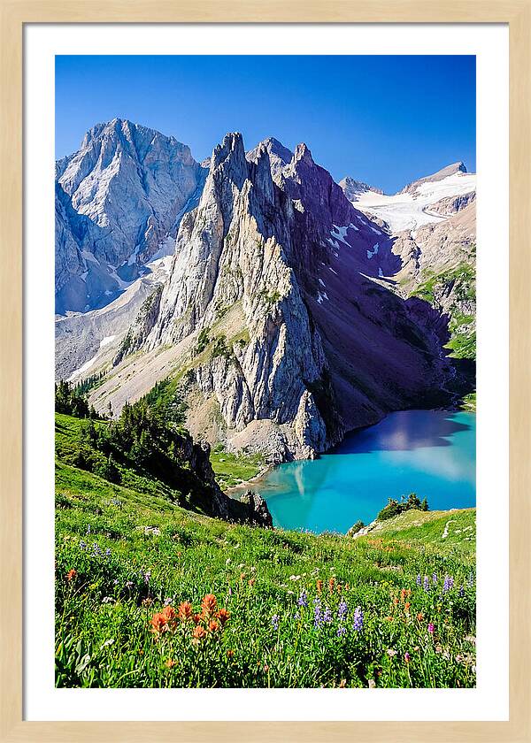 Serene Garden Landscape In Glacier National Park