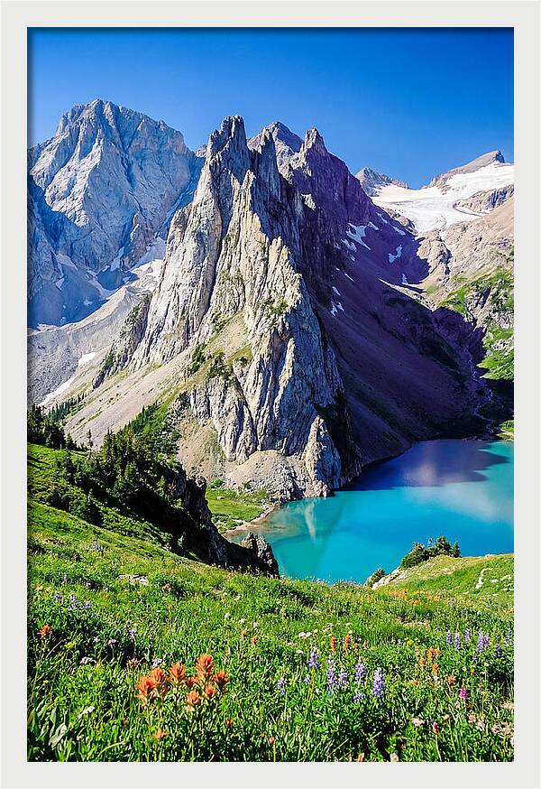 Serene Garden Landscape In Glacier National Park