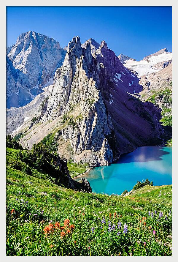 Serene Garden Landscape In Glacier National Park