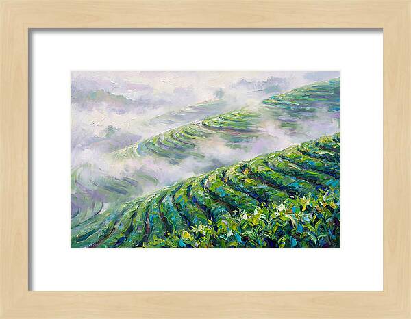 Serene Green Tea Landscapes