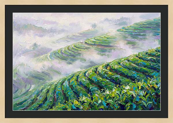 Serene Green Tea Landscapes