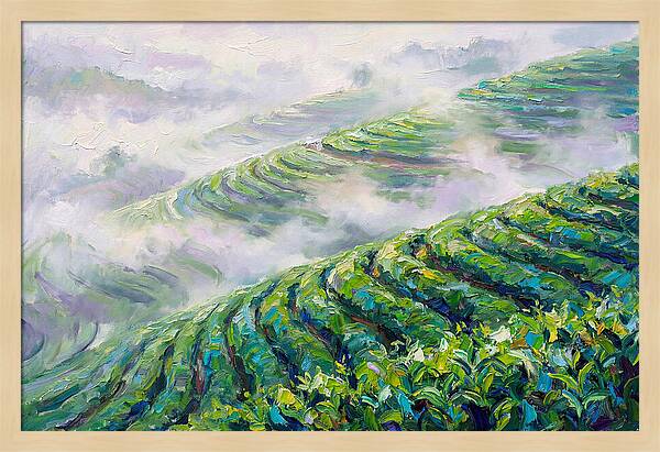 Serene Green Tea Landscapes