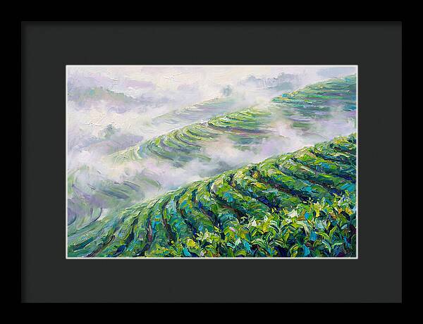 Serene Green Tea Landscapes