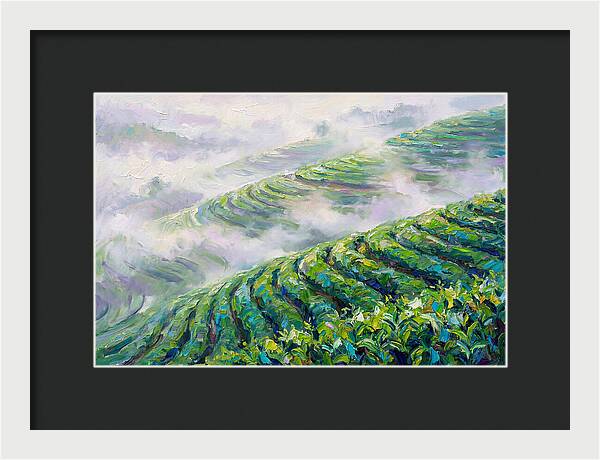 Serene Green Tea Landscapes