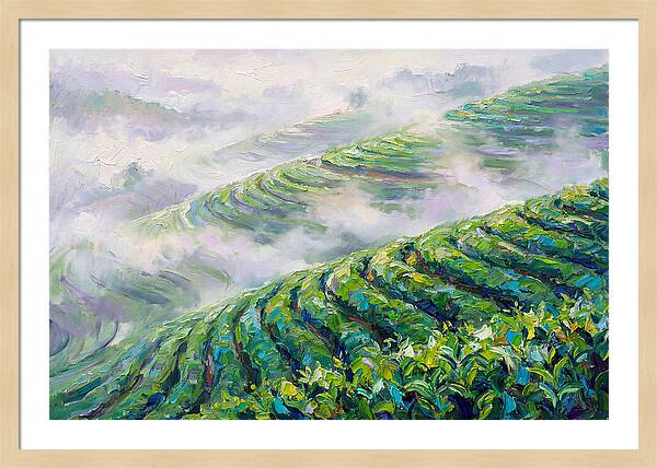 Serene Green Tea Landscapes