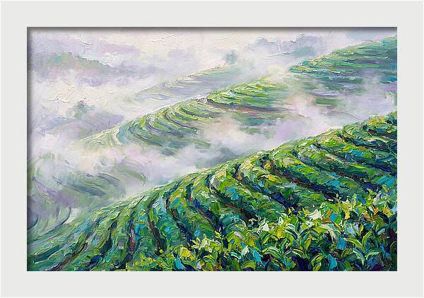 Serene Green Tea Landscapes
