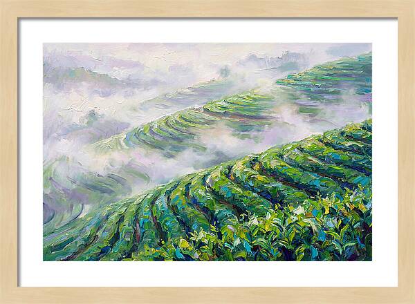 Serene Green Tea Landscapes