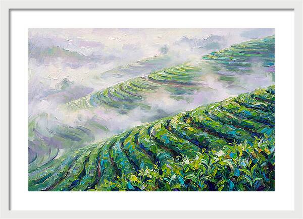 Serene Green Tea Landscapes