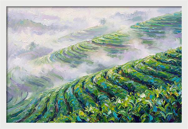 Serene Green Tea Landscapes