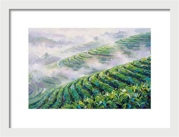 Serene Green Tea Landscapes
