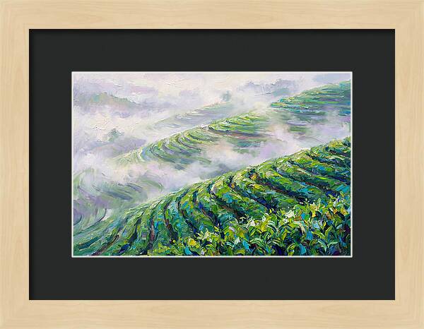 Serene Green Tea Landscapes