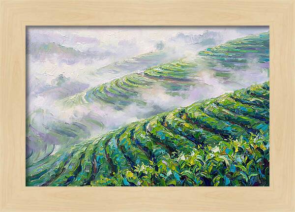 Serene Green Tea Landscapes