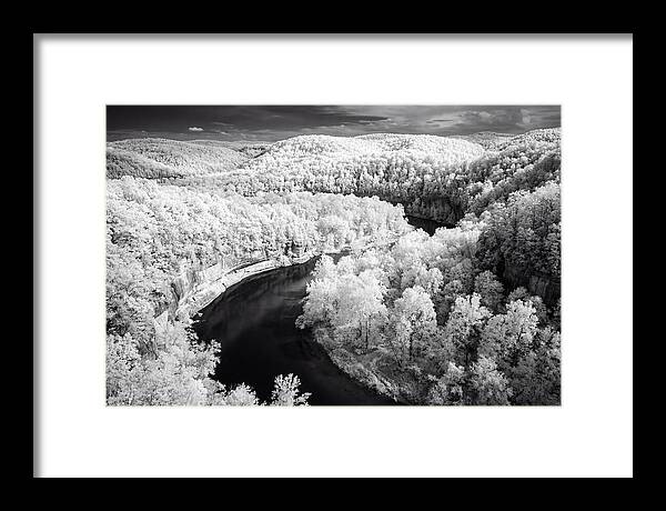 Serene Hoh Rainforest Landscape