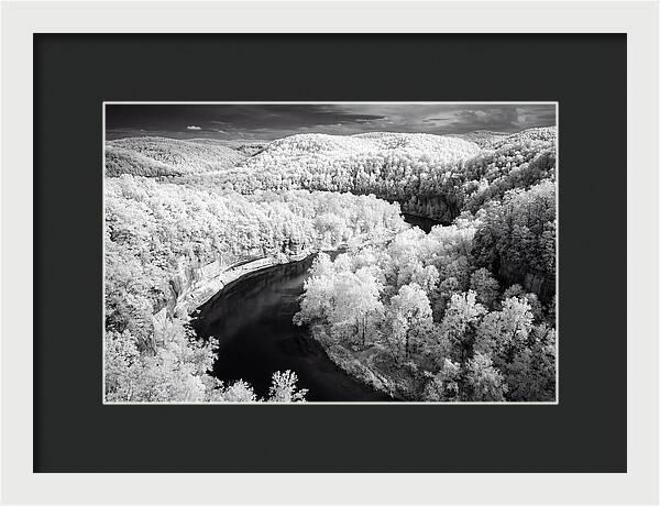 Serene Hoh Rainforest Landscape
