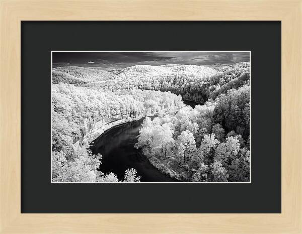 Serene Hoh Rainforest Landscape