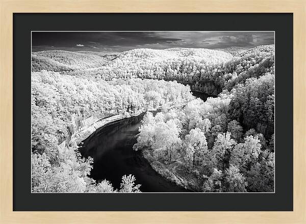 Serene Hoh Rainforest Landscape