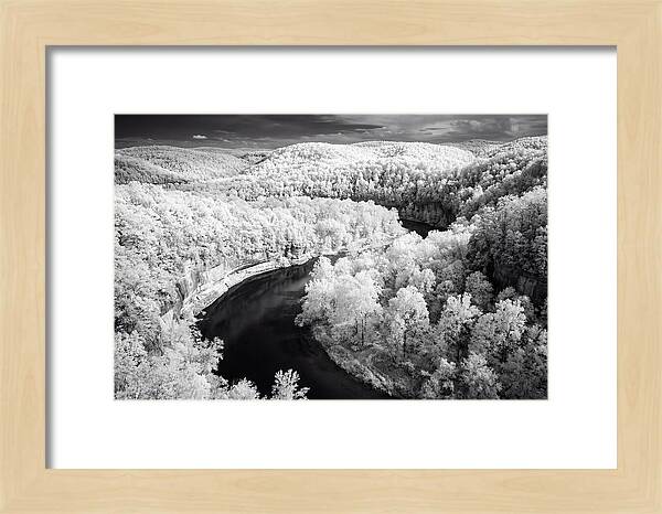 Serene Hoh Rainforest Landscape