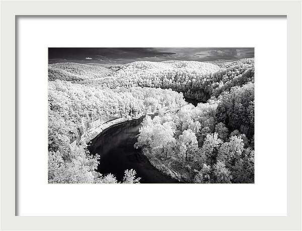 Serene Hoh Rainforest Landscape