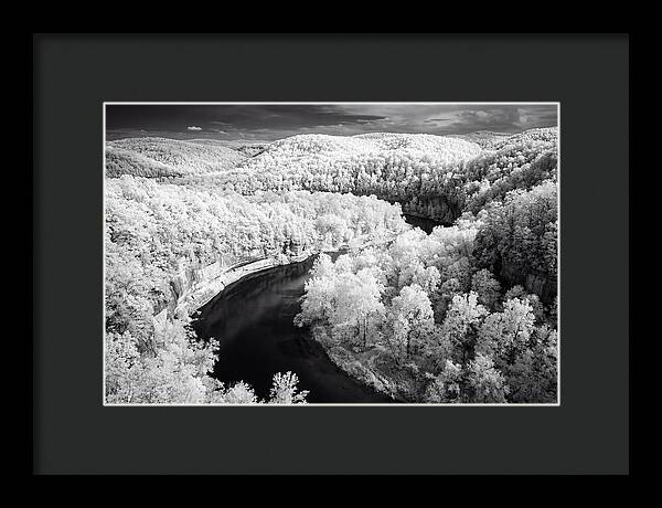 Serene Hoh Rainforest Landscape