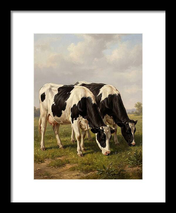 Serene Holstein Cattle In Green Pasture