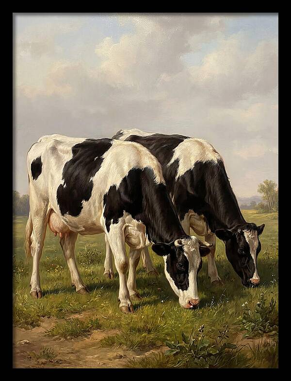 Serene Holstein Cattle In Green Pasture