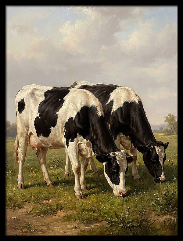 Serene Holstein Cattle In Green Pasture