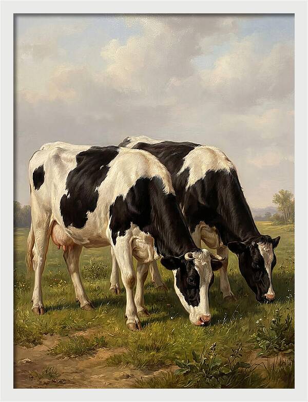 Serene Holstein Cattle In Green Pasture