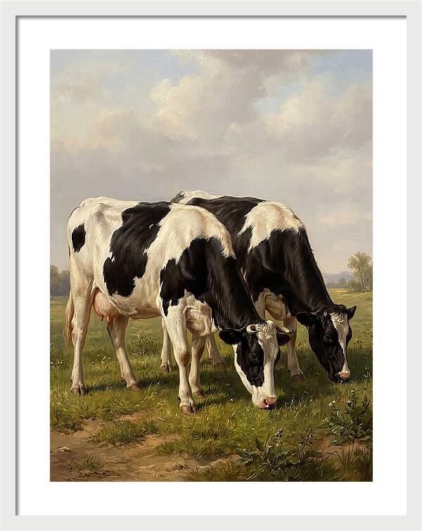 Serene Holstein Cattle In Green Pasture