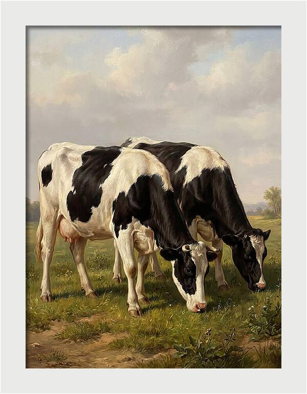 Serene Holstein Cattle In Green Pasture