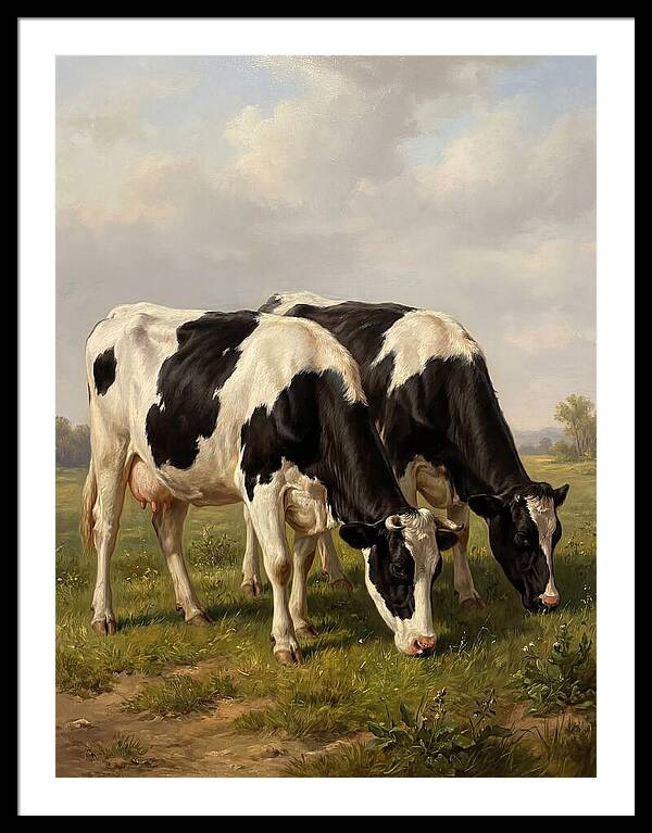 Serene Holstein Cattle In Green Pasture