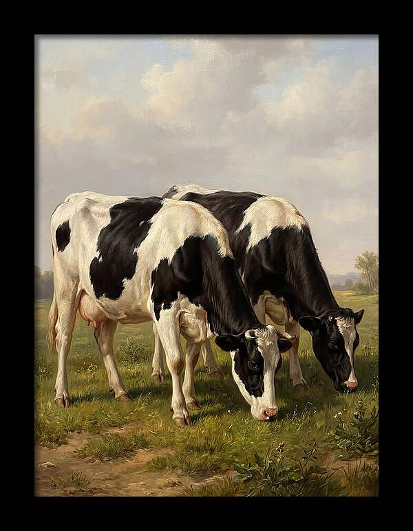 Serene Holstein Cattle In Green Pasture
