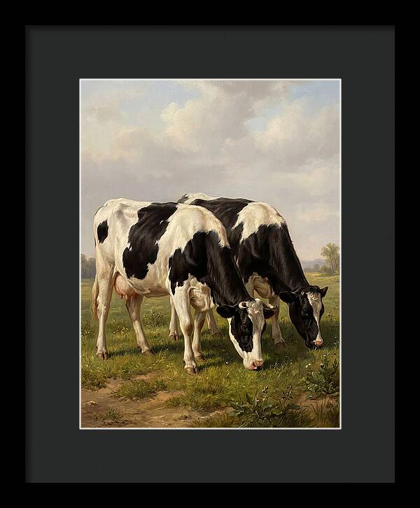 Serene Holstein Cattle In Green Pasture
