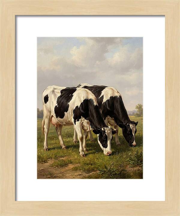 Serene Holstein Cattle In Green Pasture