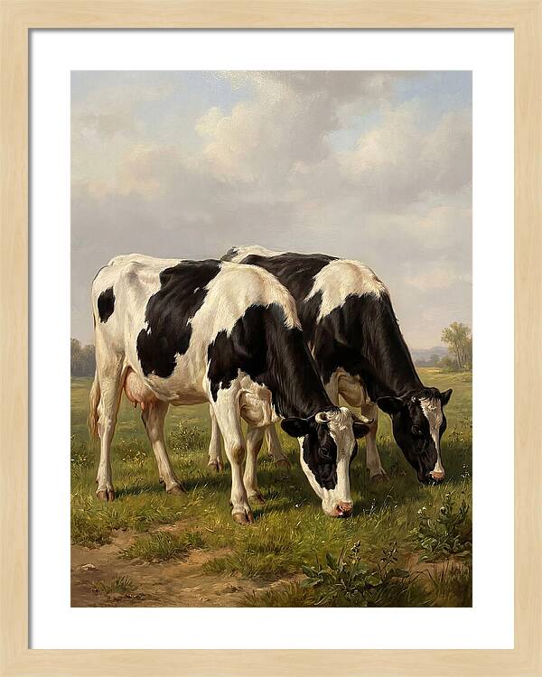 Serene Holstein Cattle In Green Pasture