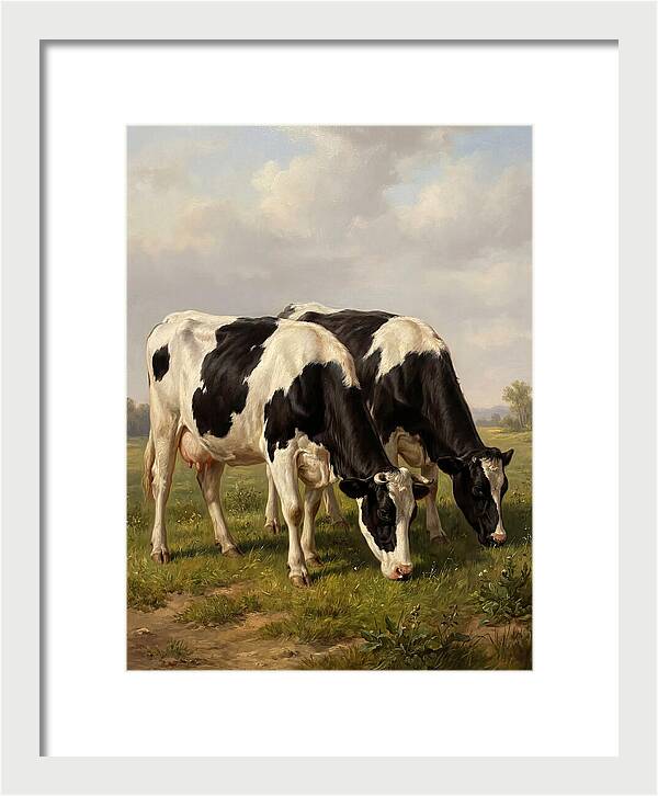 Serene Holstein Cattle In Green Pasture