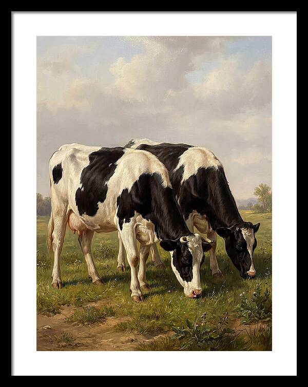 Serene Holstein Cattle In Green Pasture