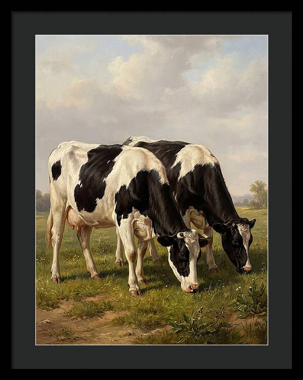 Serene Holstein Cattle In Green Pasture
