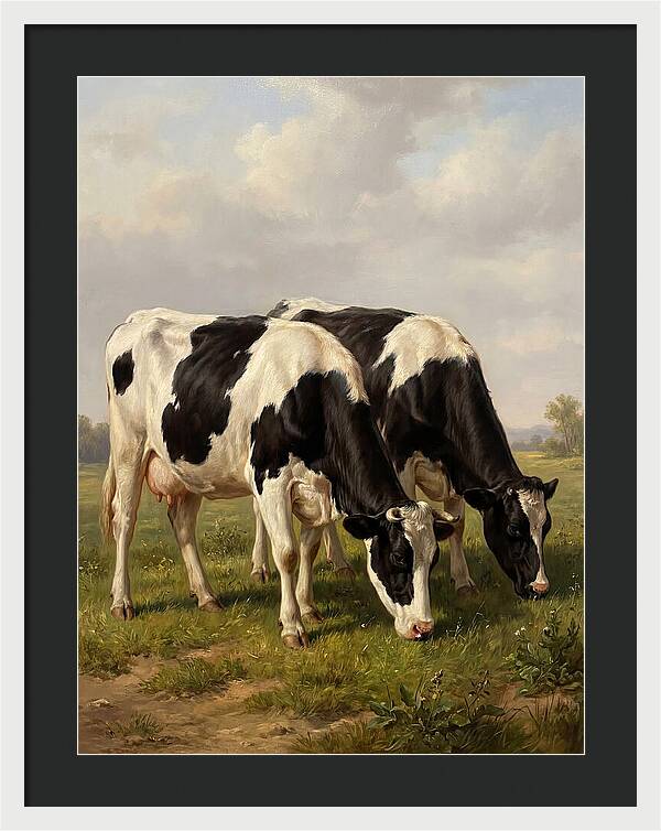 Serene Holstein Cattle In Green Pasture