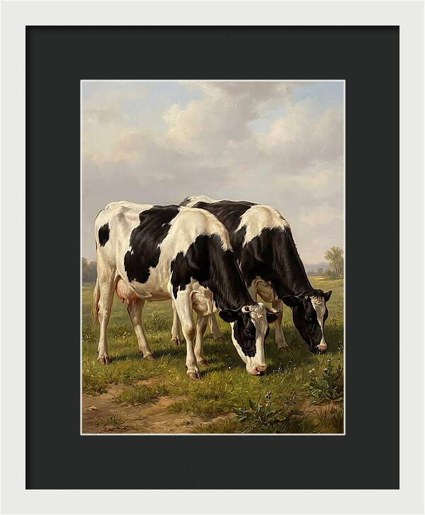 Serene Holstein Cattle In Green Pasture