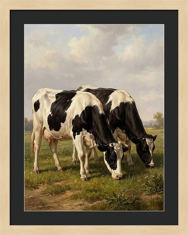 Serene Holstein Cattle In Green Pasture