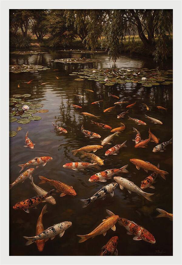 Serene Koi Harmony