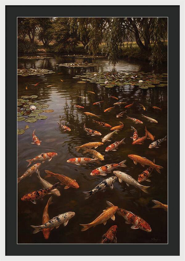 Serene Koi Harmony