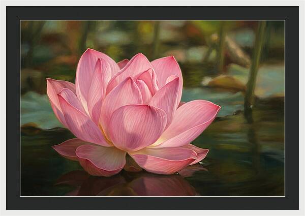 Serene Lotus Blossom Elegance