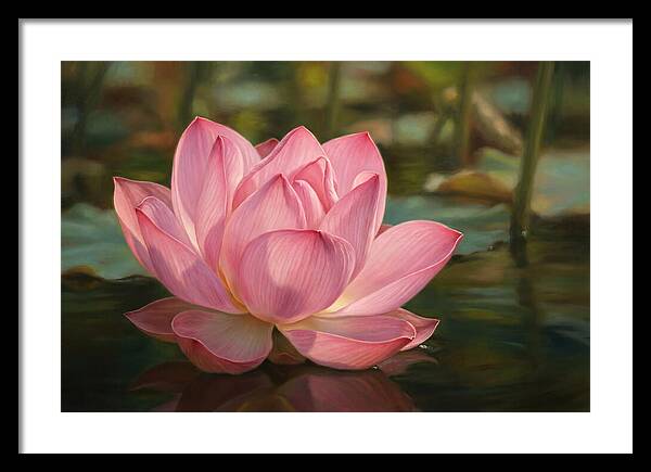Serene Lotus Blossom Elegance
